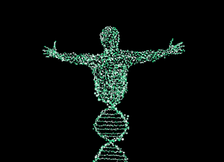 dna activation